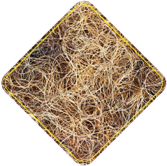 SERTA Tech _Horse Hair